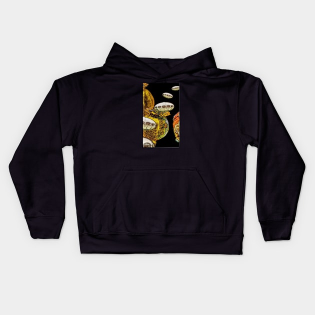 The final frontier Kids Hoodie by Borges